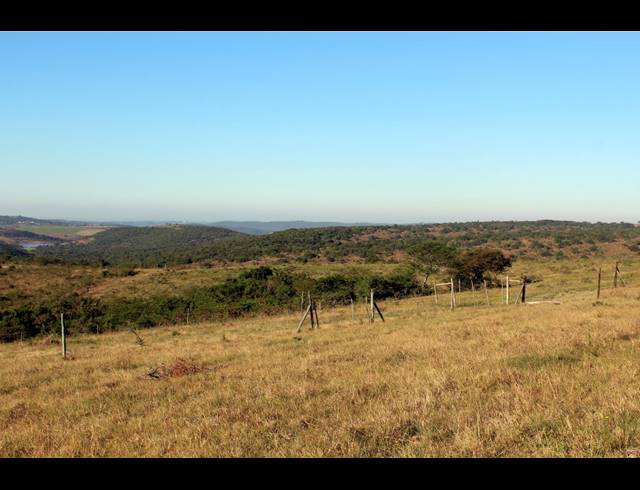 231HA FARM FOR SALE IN EAST LONDON RURAL